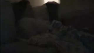 Piękna seks za darmo pożądliwa para uprawia seks ze słodkimi ustnymi pieszczotami