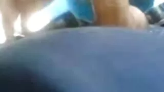 Laska podnieca się delikatną cipką i spuści od darmowe animacje erotyczne gorącego seksu